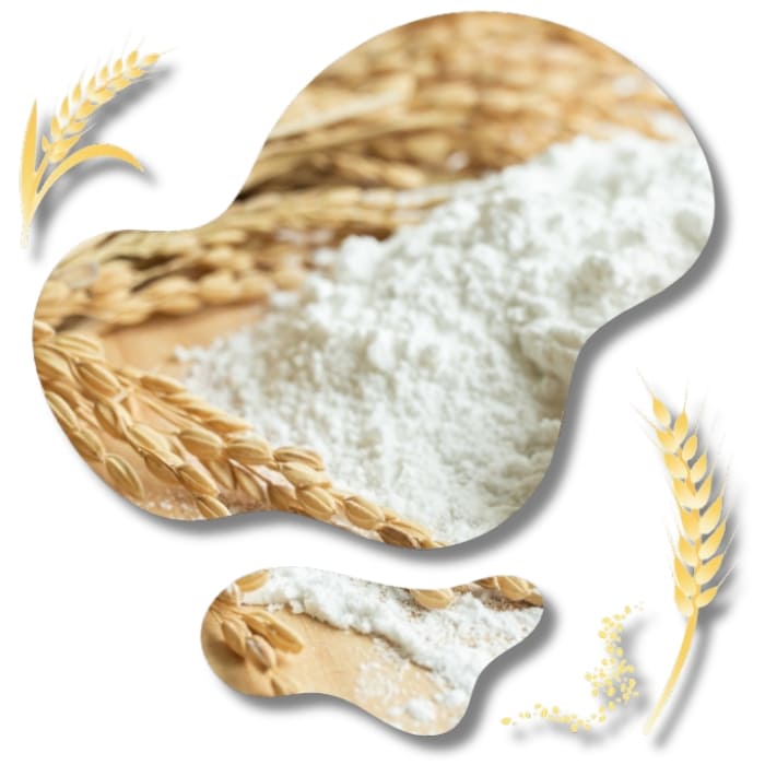 Tại sao chọn chúng tôi